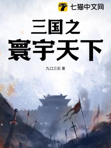 三国之寰宇天下